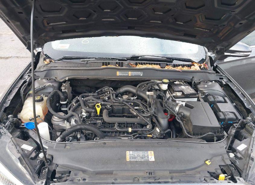 Photo 10 of 2020 Ford Fusion SEL (VIN 3FA6P0CD8LR194310)