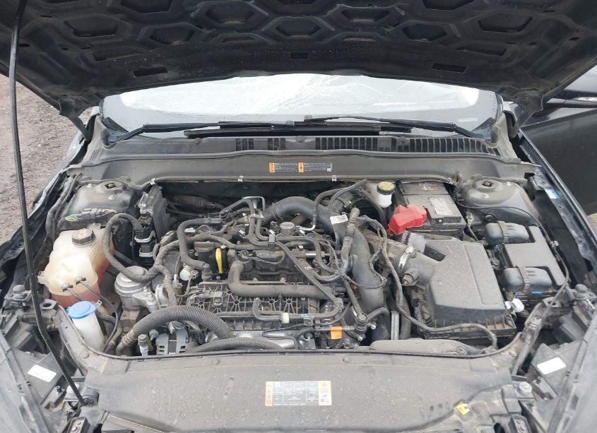 Photo 10 of 2019 Ford Fusion SEL (VIN 3FA6P0CDXKR254487)