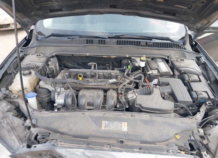 Photo 10 of 2019 Ford Fusion SE (VIN 3FA6P0H79KR123411)