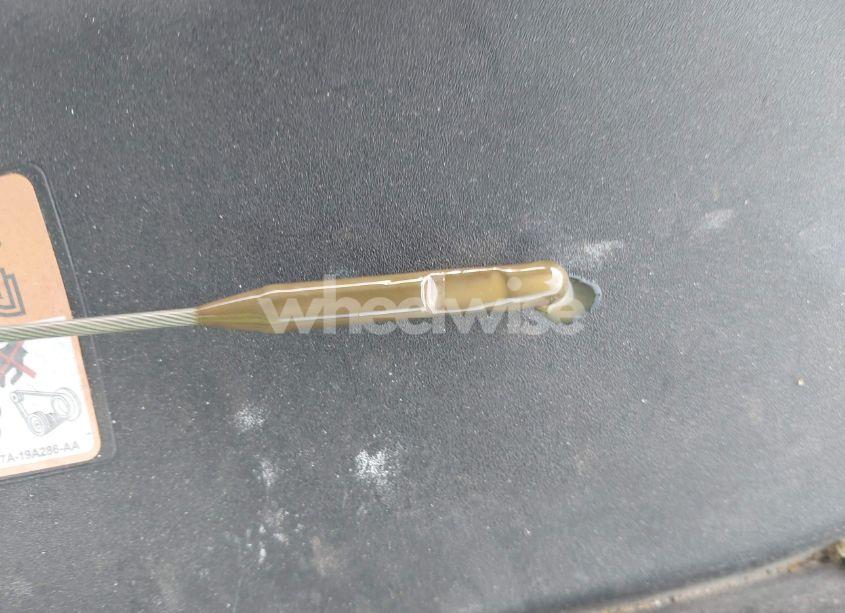 Photo 17 of 2016 Ford Fusion SE (VIN 3FA6P0HD1GR344711)