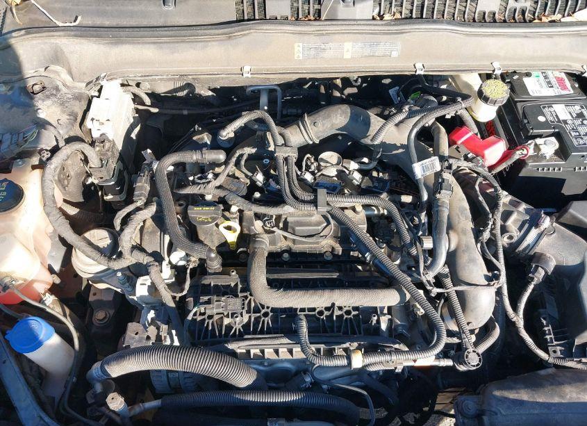 Photo 10 of 2019 Ford Fusion SE (VIN 3FA6P0HD1KR154089)