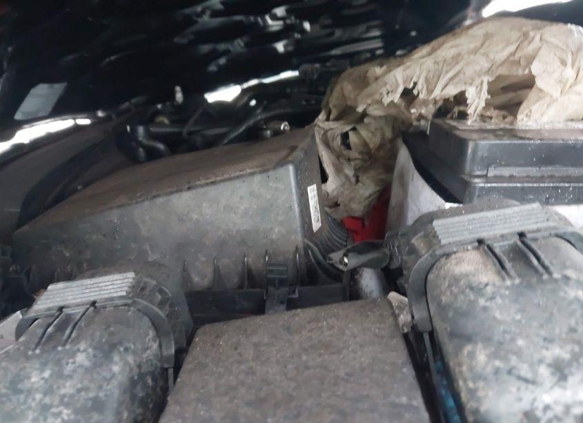 Photo 10 of 2019 Ford Fusion SE (VIN 3FA6P0HD8KR245344)