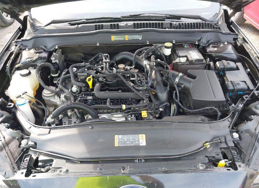 Photo 10 of 2020 Ford Fusion SE (VIN 3FA6P0HD8LR259469)