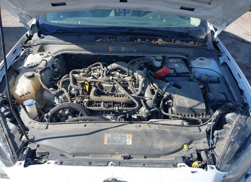 Photo 10 of 2020 Ford Fusion SE (VIN 3FA6P0HD9LR189769)