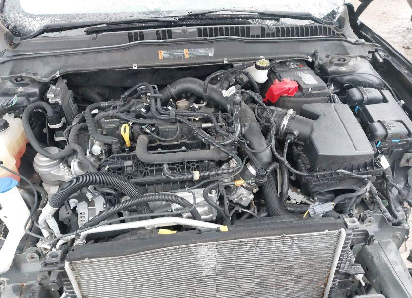 Photo 10 of 2020 Ford Fusion SE (VIN 3FA6P0HDXLR125093)