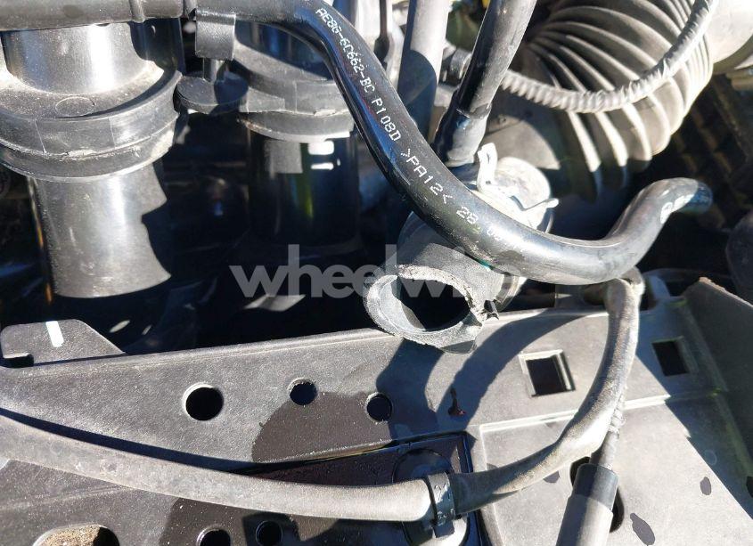 Photo 18 of 2017 Ford Fiesta SE (VIN 3FADP4BJ1HM169002)