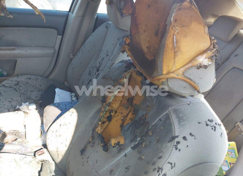 Photo 16 of 2010 Ford Fusion SE (VIN 3FAHP0HA6AR169457)