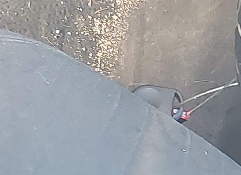 Photo 11 of 2010 Ford Fusion SE (VIN 3FAHP0HA9AR183840)