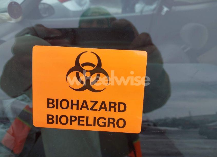 Photo 10 of 1998 Ford Escort ZX2 COOL/ZX2 HOT (VIN 3FALP1137WR145199)