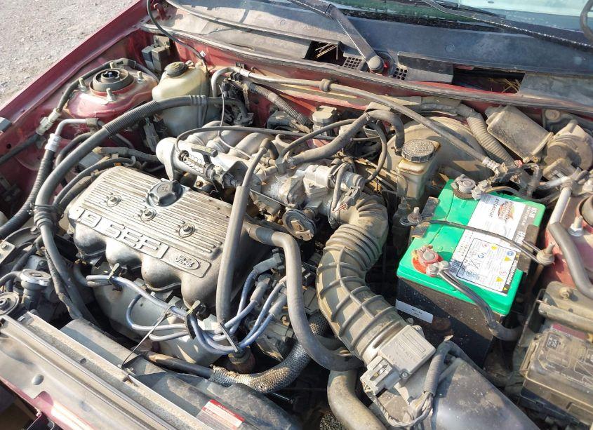 Photo 10 of 1995 Ford Escort LX/SPORT (VIN 3FASP15J9SR190126)