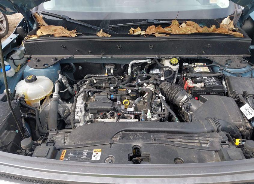 Photo 10 of 2021 Ford Bronco SPORT BIG BEND (VIN 3FMCR9B61MRB40097)