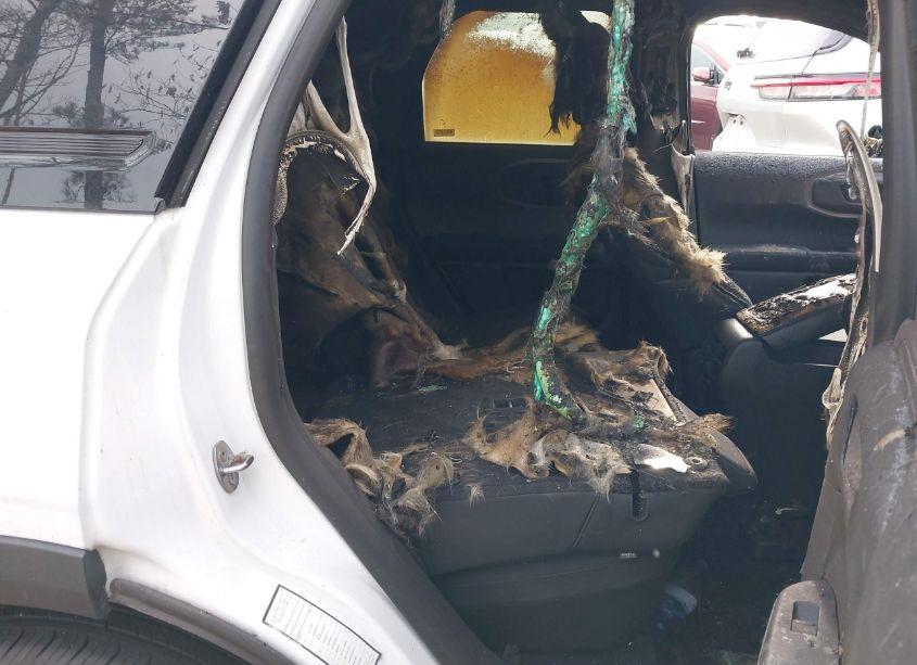 Photo 8 of 2024 Ford Bronco SPORT BIG BEND (VIN 3FMCR9B64RRE26047)