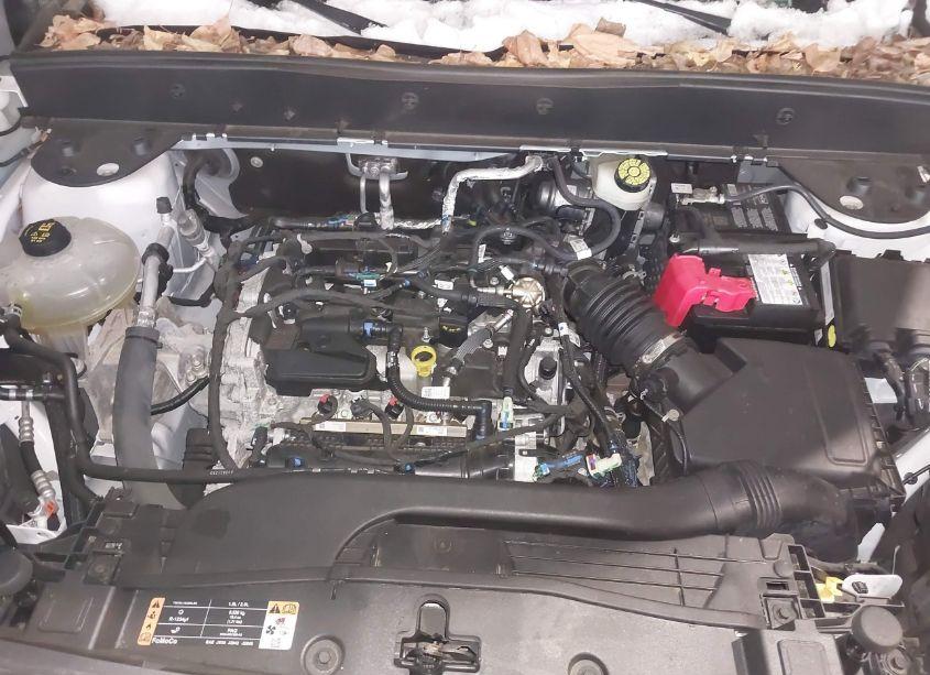 Photo 10 of 2021 Ford Bronco SPORT BIG BEND (VIN 3FMCR9B67MRB36443)