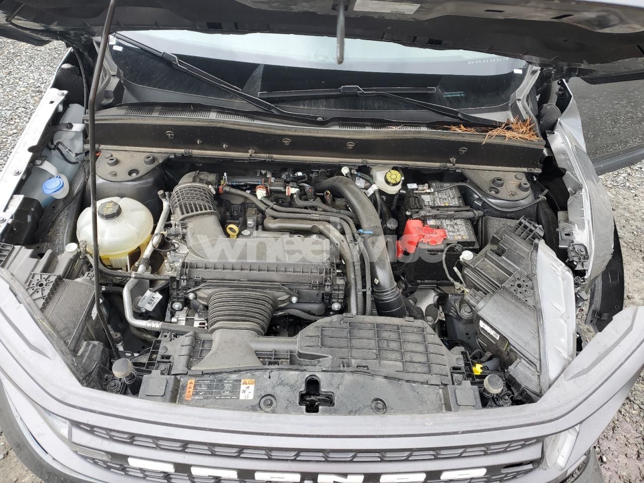 Photo 12 of 2025 FORD BRONCO SPORT BADLANDS (VIN 3FMCR9DA9SRE46849)