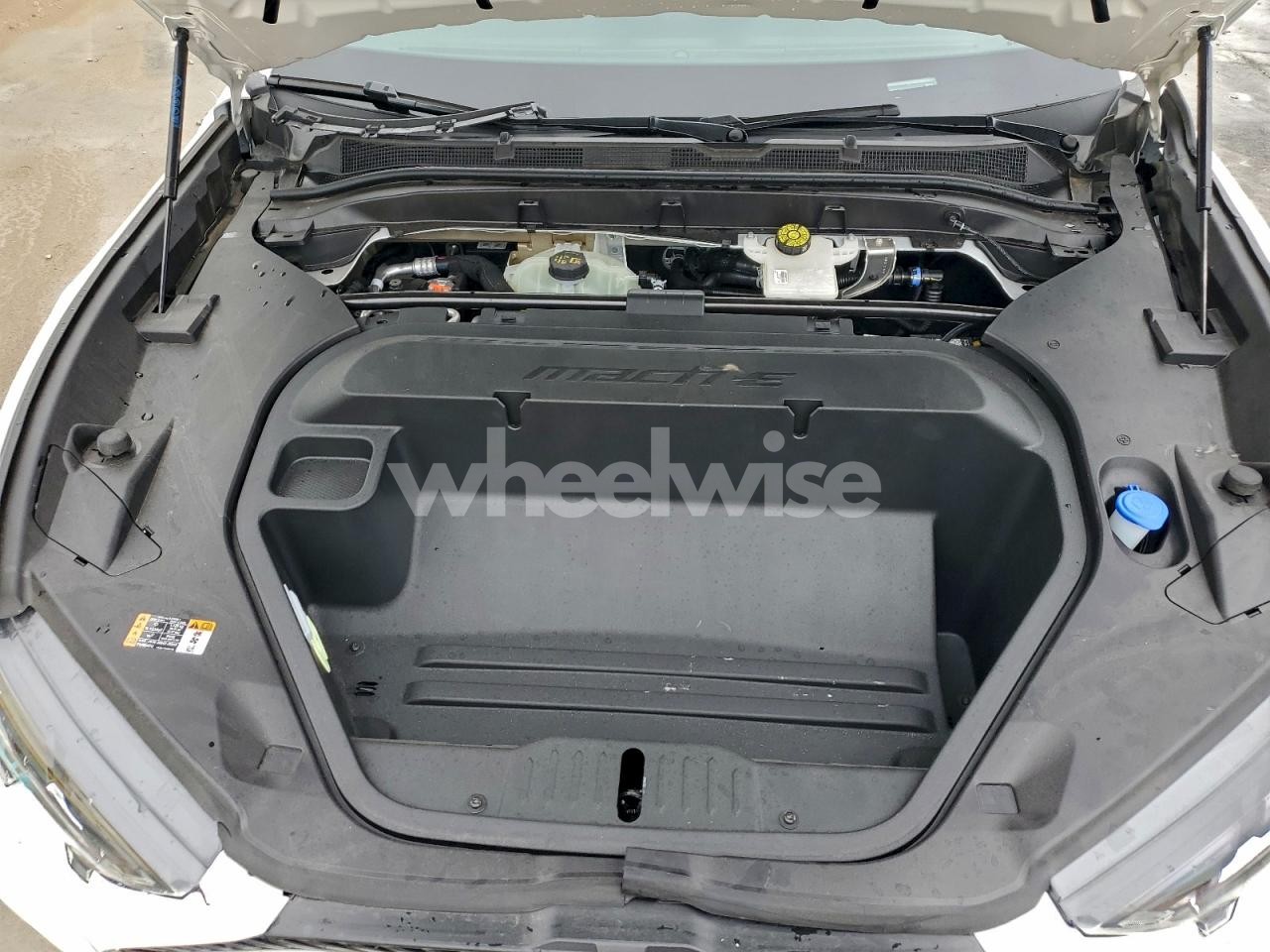 Photo 12 of 2025 FORD MUSTANG MACH-E SELECT (VIN 3FMTK1R41SMA04458)