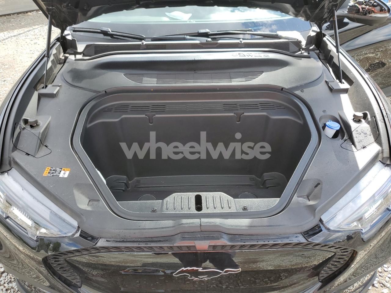 Photo 12 of 2024 FORD MUSTANG MACH-E SELECT N/A (VIN 3FMTK1R45RMA52491)