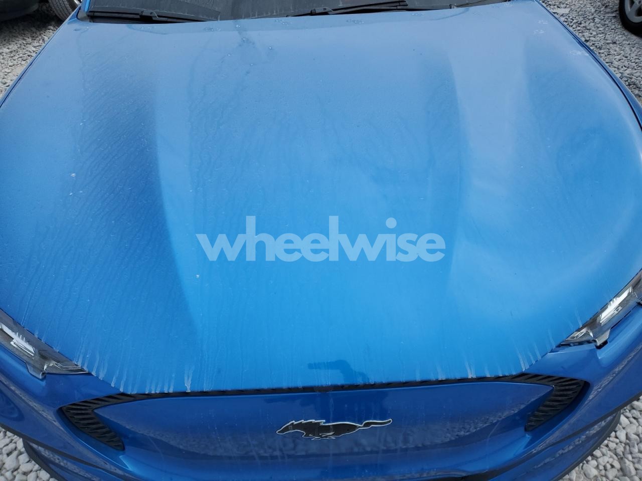 Photo 11 of 2025 FORD MUSTANG MACH-E SELECT (VIN 3FMTK1R46SMA15116)