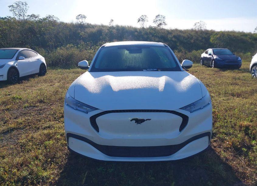 Photo 12 of 2022 Ford Mustang MACH-E SELECT (VIN 3FMTK1RM9NMA39592)