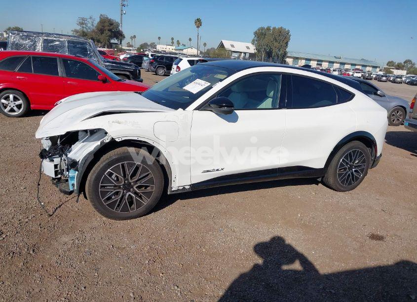 Photo 15 of 2024 Ford Mustang MACH-E PREMIUM (VIN 3FMTK3R78RMA37392)