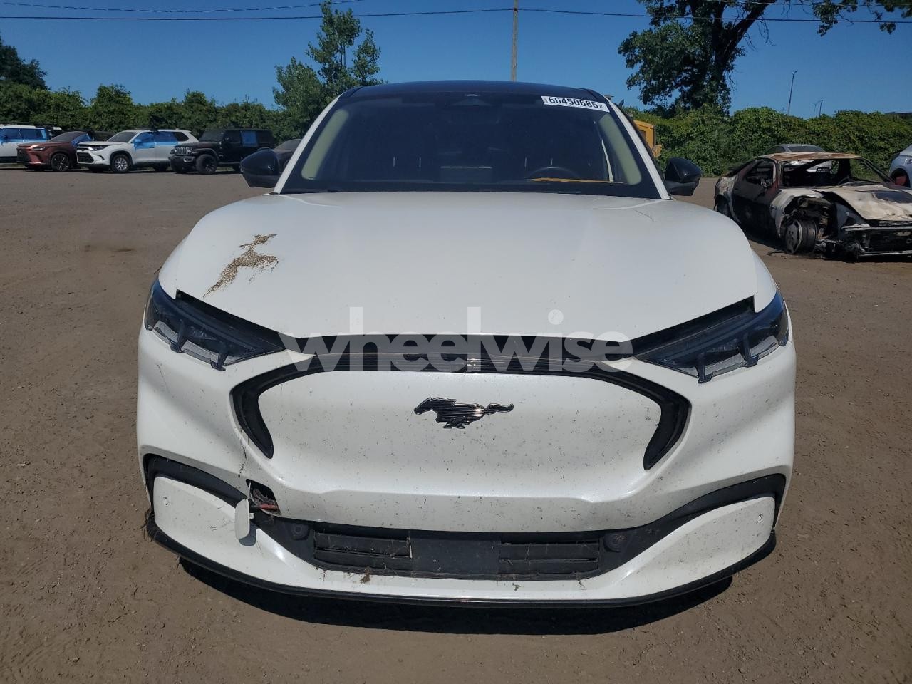 Photo 5 of 2023 FORD MUSTANG MACH-E PREMIUM (VIN 3FMTK3S53PMB00808)