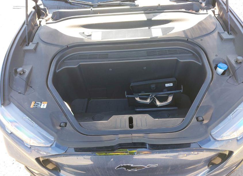 Photo 10 of 2021 Ford Mustang MACH-E PREMIUM (VIN 3FMTK3SS3MMA19308)