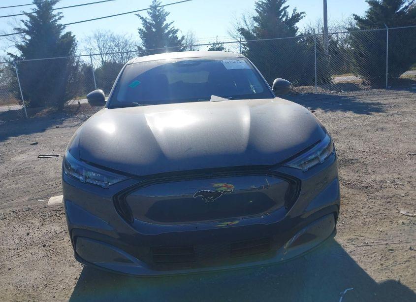 Photo 13 of 2021 Ford Mustang MACH-E PREMIUM (VIN 3FMTK3SS3MMA19308)