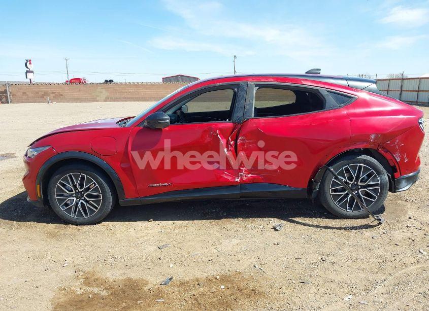 Photo 14 of 2024 Ford Mustang MACH-E PREMIUM (VIN 3FMTK3SU2RMA02489)