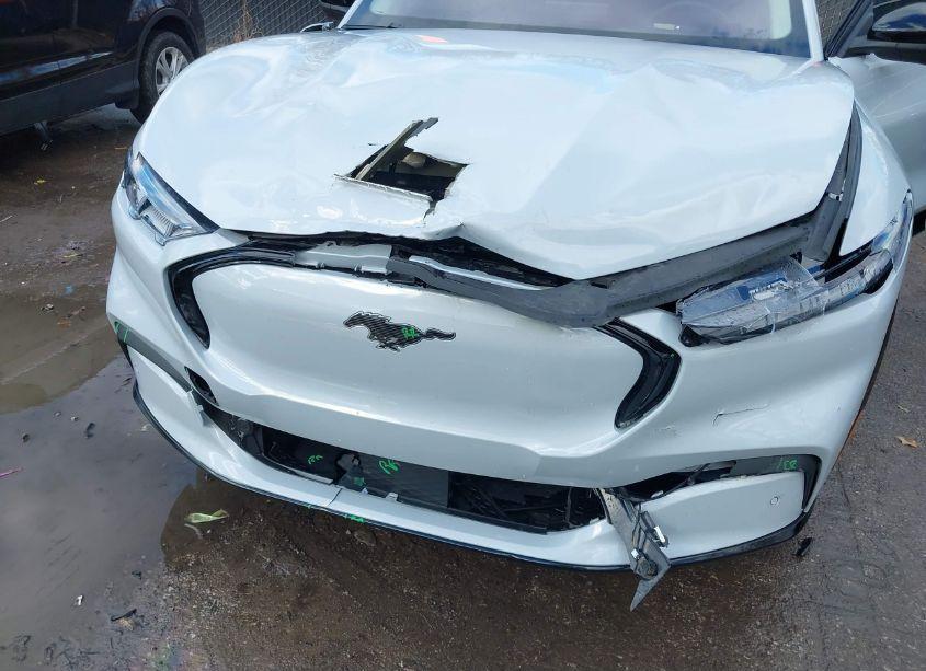 Photo 6 of 2022 Ford Mustang MACH-E PREMIUM (VIN 3FMTK3SU7NMA58406)