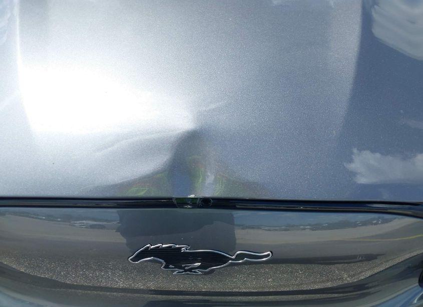 Photo 19 of 2023 Ford Mustang MACH-E PREMIUM (VIN 3FMTK3SUXPMB07018)