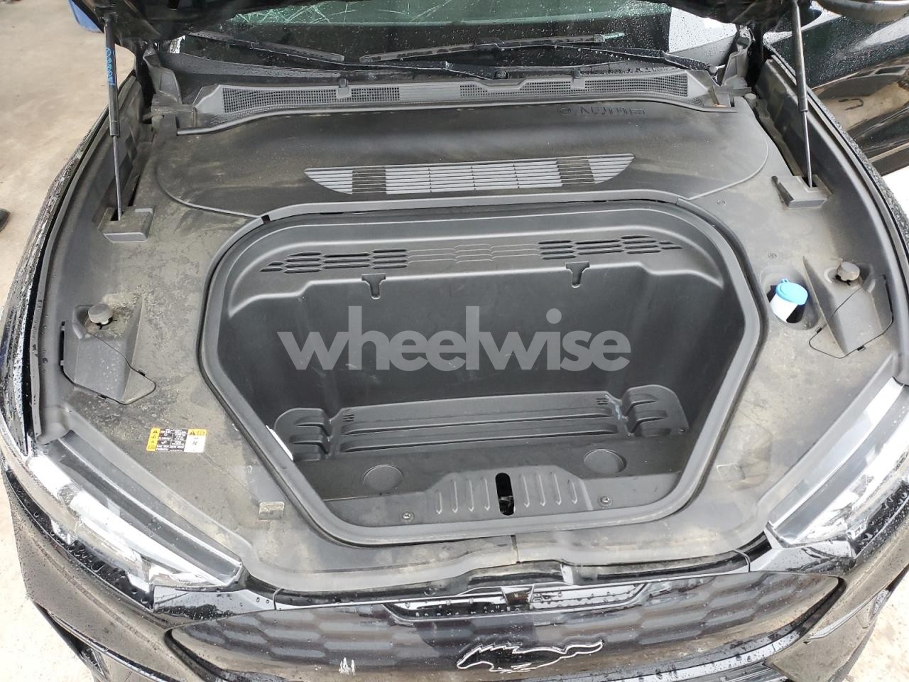 Photo 12 of 2024 FORD MUSTANG MACH-E GT (VIN 3FMTK4SX6RMA49119)