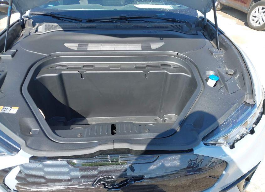 Photo 10 of 2024 Ford Mustang MACH-E GT (VIN 3FMTK4SX9RMA25140)