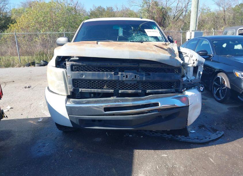 Photo 12 of 2009 Chevrolet Silverado 1500 LS (VIN 3GCEC13C09G101069)