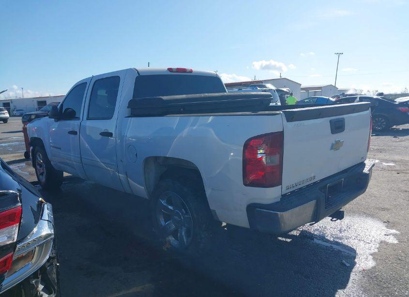 Photo 3 of 2009 Chevrolet Silverado 1500 LS (VIN 3GCEC13C09G101069)
