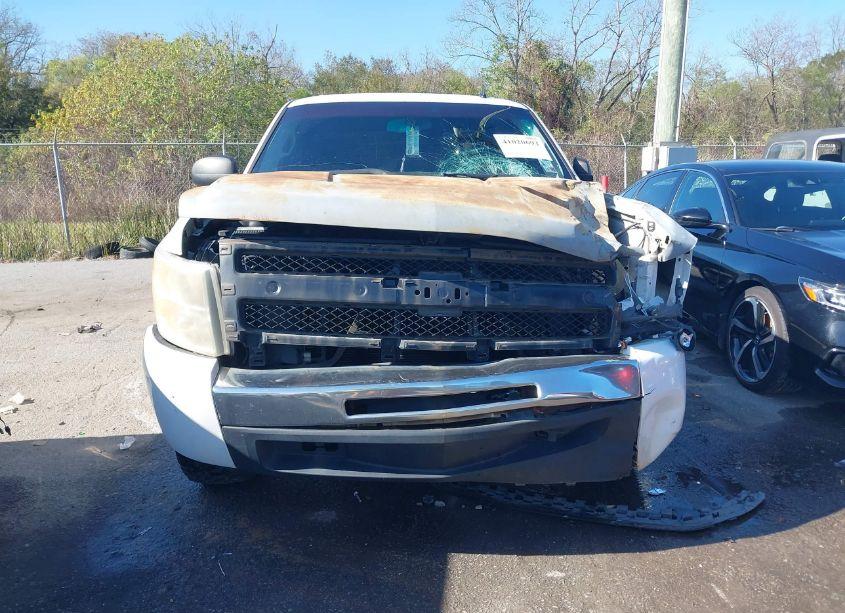 Photo 6 of 2009 Chevrolet Silverado 1500 LS (VIN 3GCEC13C09G101069)