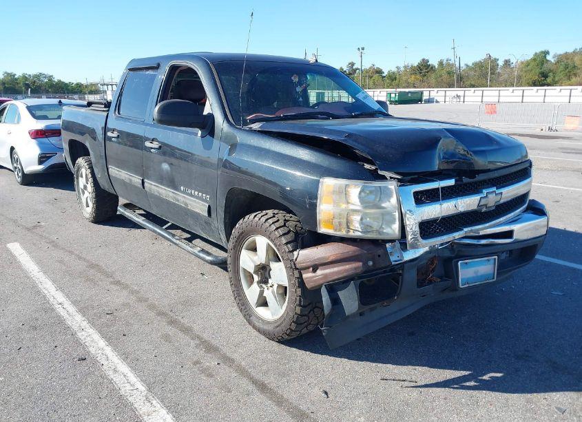 2009 Chevrolet Silverado 1500 LS (VIN 3GCEC13C49G285223) main photo