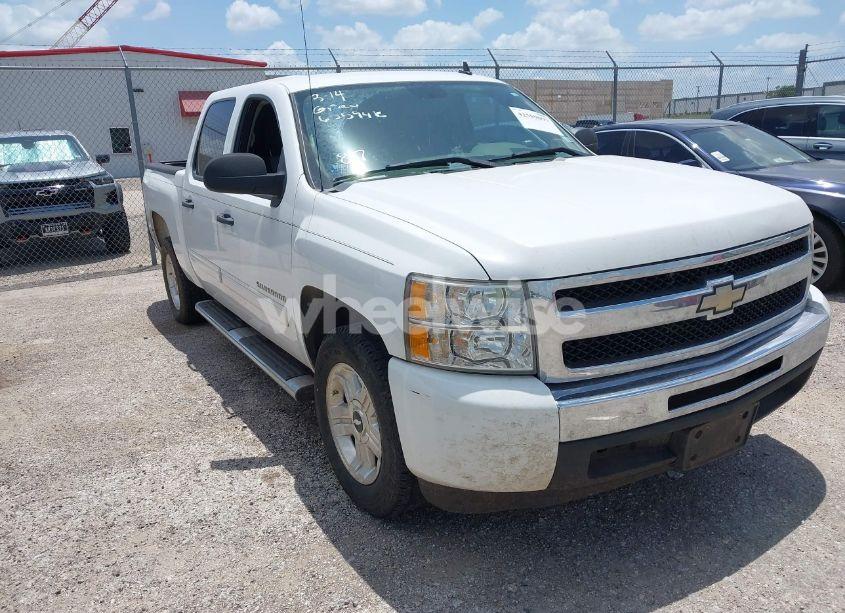 2009 Chevrolet Silverado 1500 LS (VIN 3GCEC13C99G290479) main photo