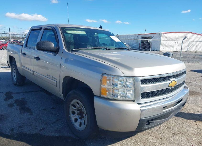 2009 Chevrolet Silverado 1500 LS (VIN 3GCEC13CX9G199267) main photo