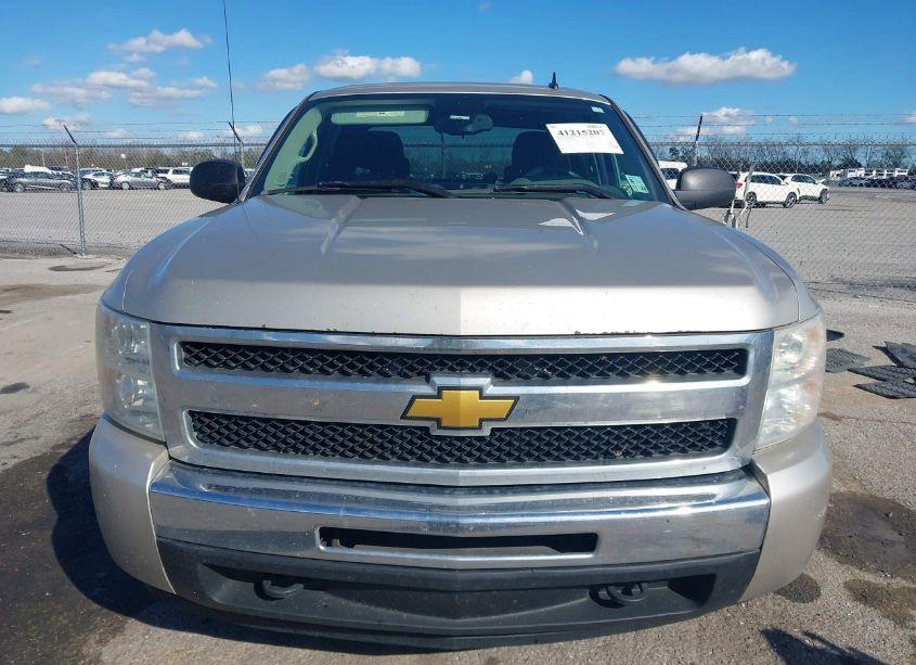 Photo 12 of 2009 Chevrolet Silverado 1500 LS (VIN 3GCEC13CX9G199267)