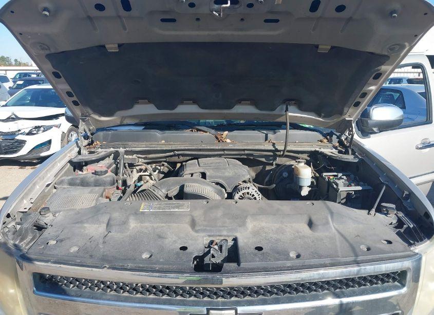 Photo 10 of 2009 Chevrolet Silverado 1500 LT (VIN 3GCEC23J79G215607)