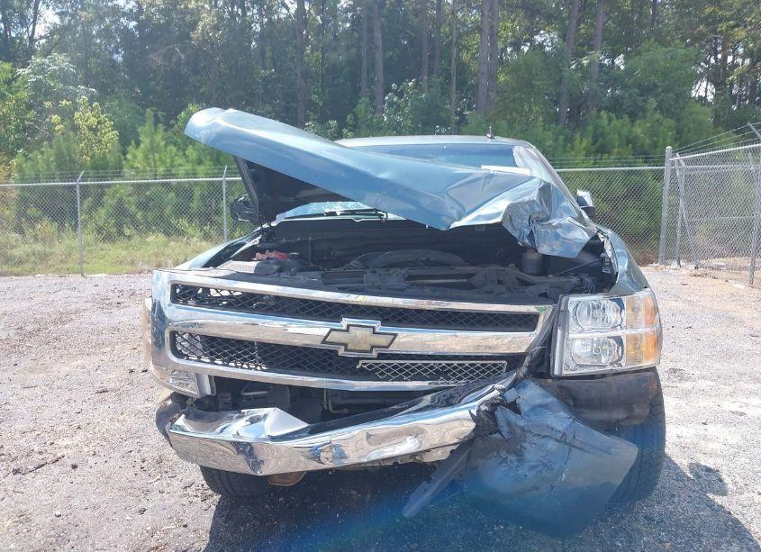 Photo 12 of 2009 Chevrolet Silverado 1500 LT (VIN 3GCEC23J99G276506)