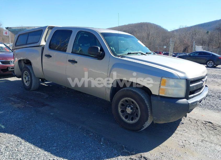 2009 Chevrolet Silverado 1500 WORK TRUCK (VIN 3GCEK13C99G217244) main photo