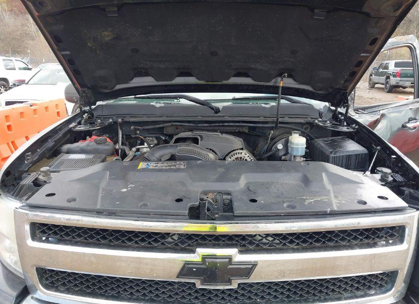 Photo 10 of 2009 Chevrolet Silverado 1500 LT (VIN 3GCEK23309G255032)