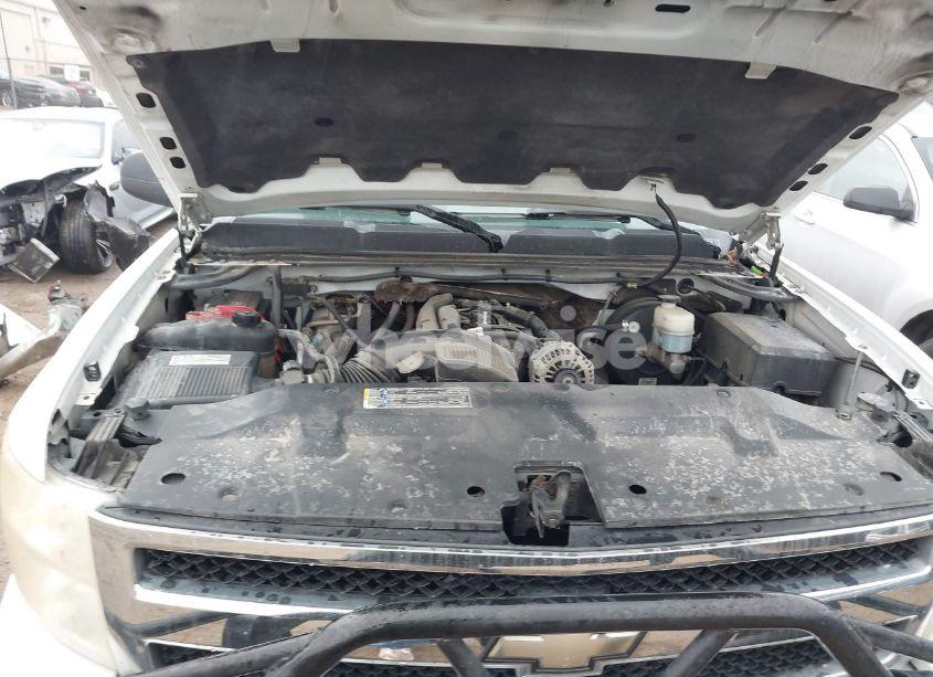 Photo 10 of 2009 Chevrolet Silverado 1500 LT (VIN 3GCEK23319G165744)