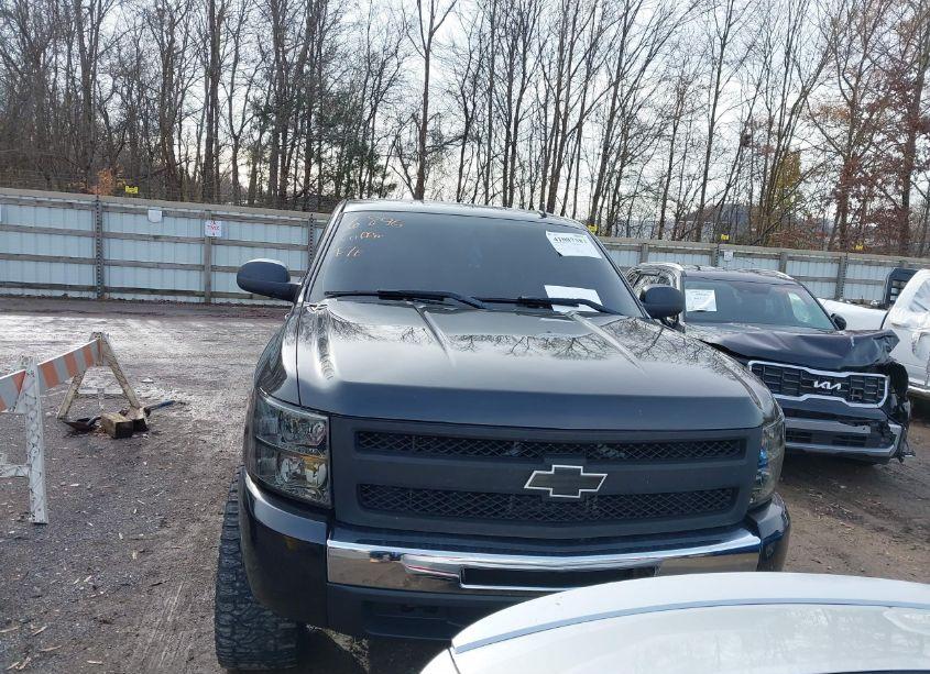 Photo 12 of 2009 Chevrolet Silverado 1500 LT (VIN 3GCEK23369G181602)