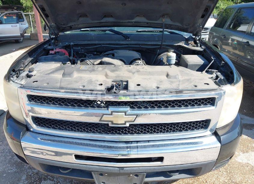 Photo 10 of 2009 Chevrolet Silverado 1500 LT (VIN 3GCEK23379G249423)