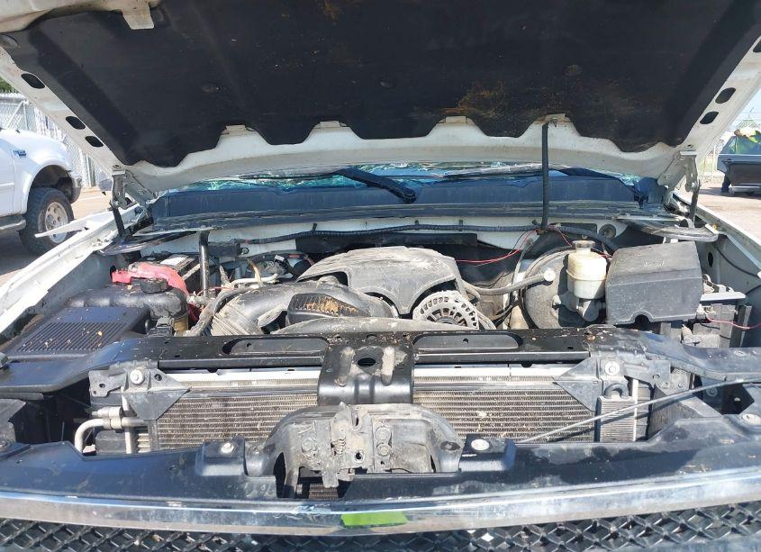 Photo 10 of 2009 Chevrolet Silverado 1500 LT (VIN 3GCEK23389G278090)