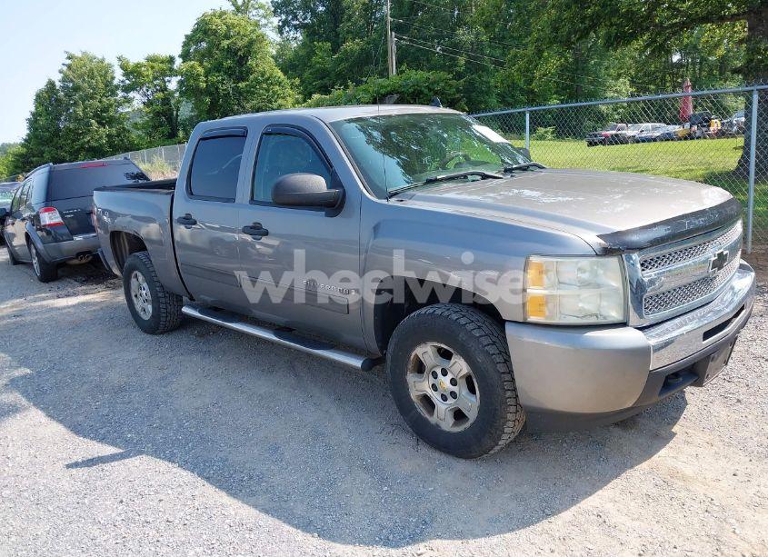 2009 Chevrolet Silverado 1500 LT (VIN 3GCEK23M19G255503) main photo