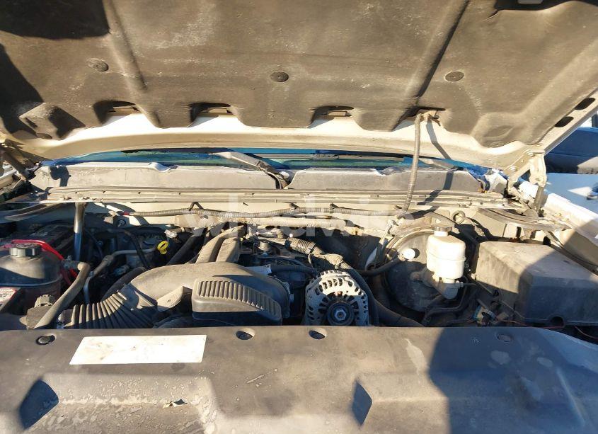 Photo 10 of 2009 Chevrolet Silverado 1500 LT (VIN 3GCEK23M69G149466)