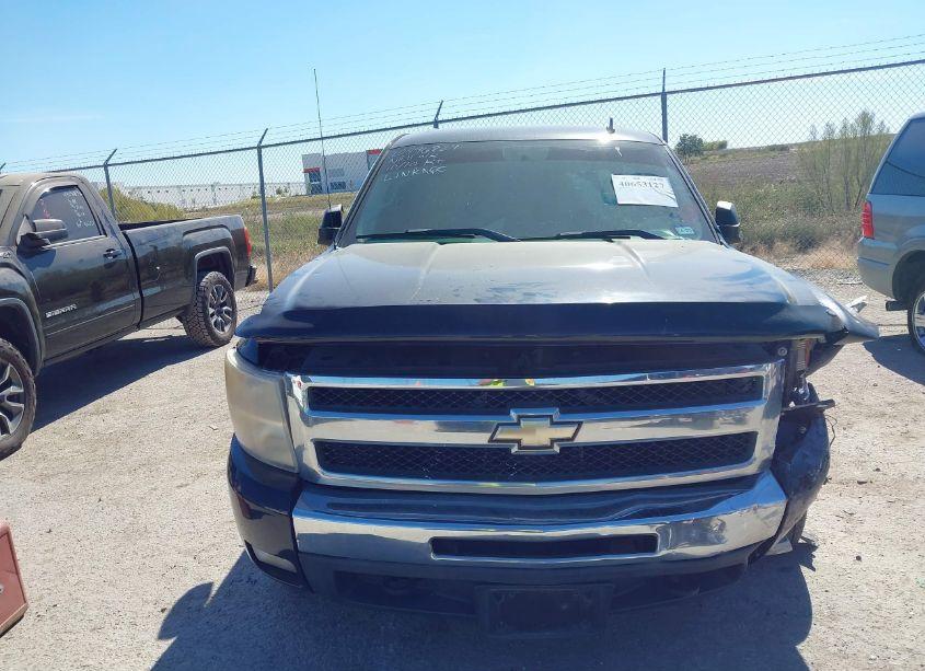Photo 12 of 2009 Chevrolet Silverado 1500 LT (VIN 3GCEK23M79G164770)