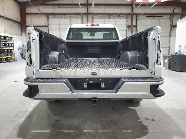 Photo 3 of 2024 CHEVROLET SILVERADO C1500 (VIN 3GCNAAED7RG396554)